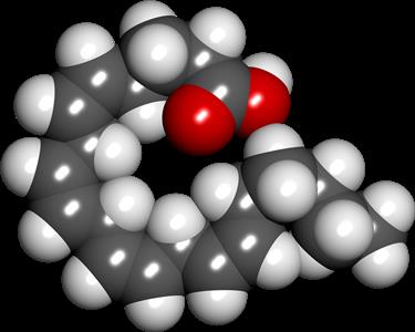 20:4 undifferentiated, eicosatetraenoic, arachidonic